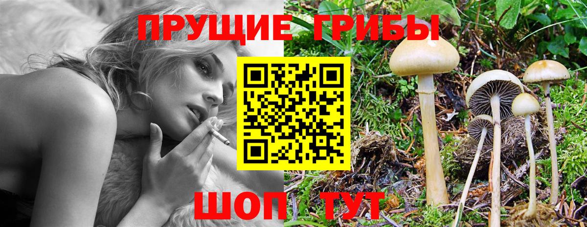 ГАШИШ Надым