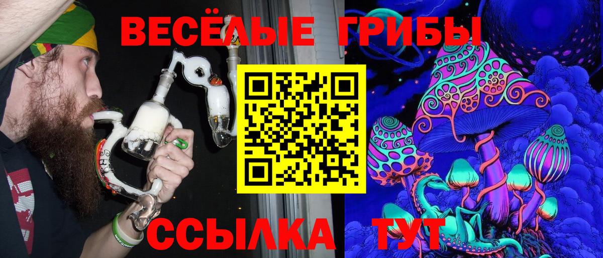 Псилоцибиновые грибы Psilocybe Надым