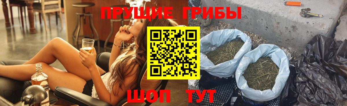 Псилоцибиновые грибы Psilocybe  Вход с VPN  Надым 